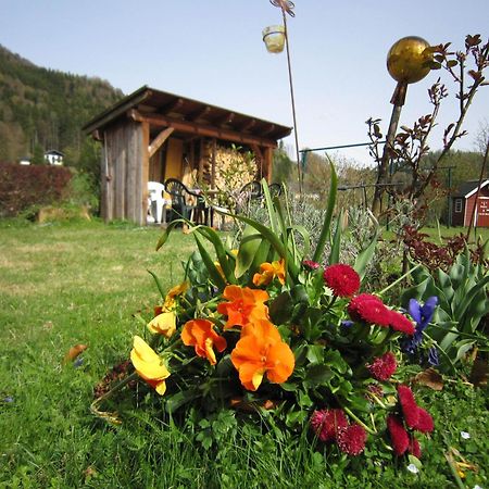 Appartement Scheibling Sankt Wolfgang im Salzkammergut ภายนอก รูปภาพ