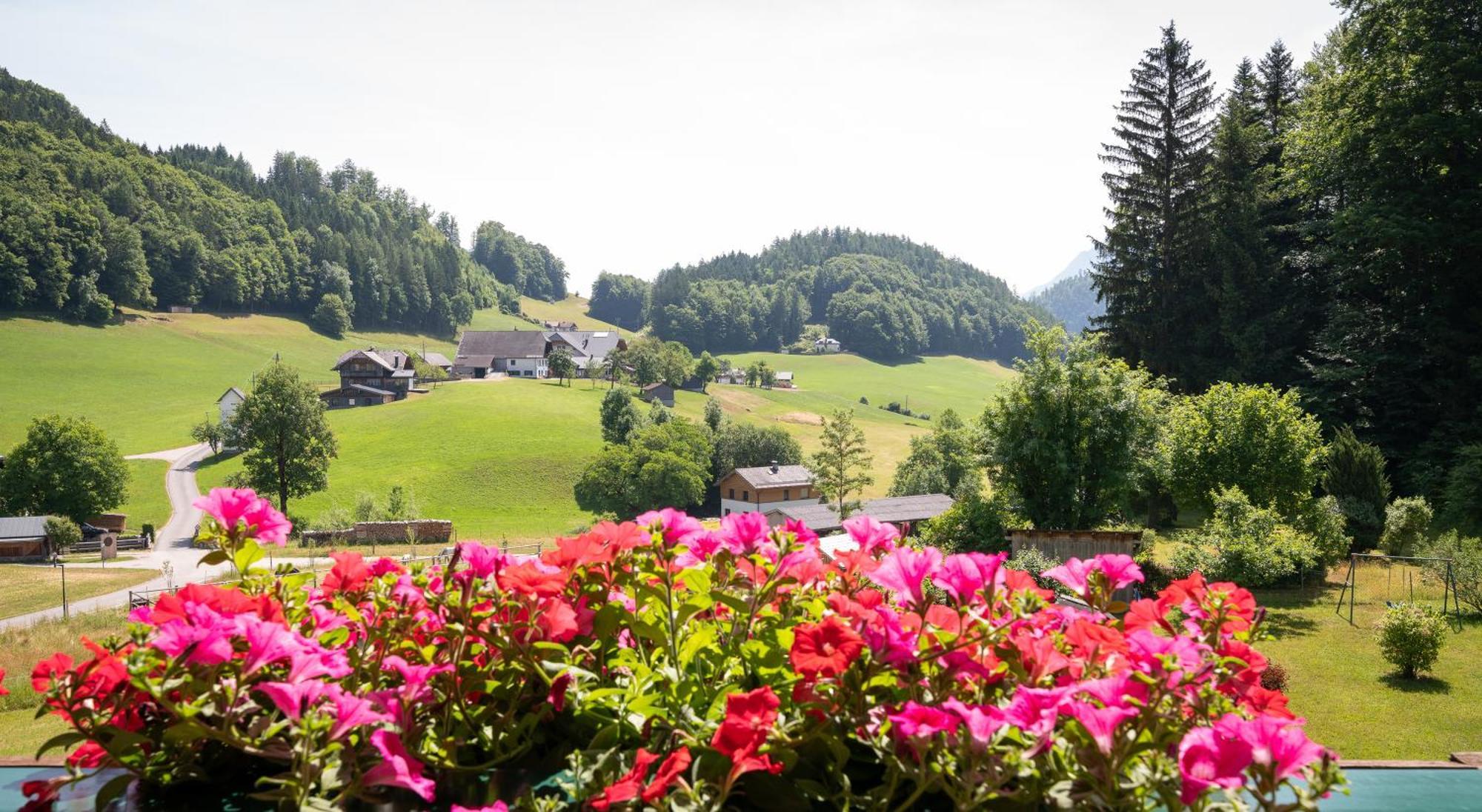Appartement Scheibling Sankt Wolfgang im Salzkammergut ภายนอก รูปภาพ