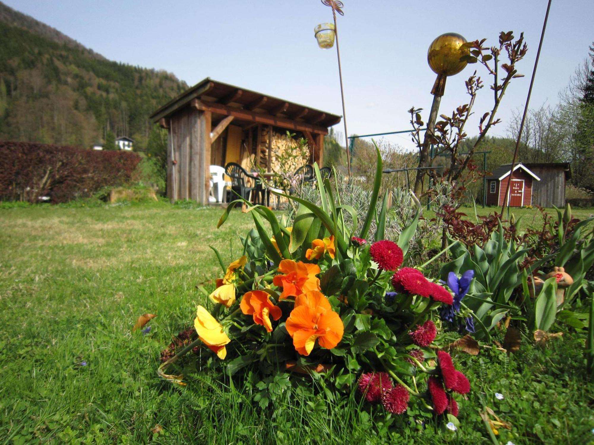 Appartement Scheibling Sankt Wolfgang im Salzkammergut ภายนอก รูปภาพ