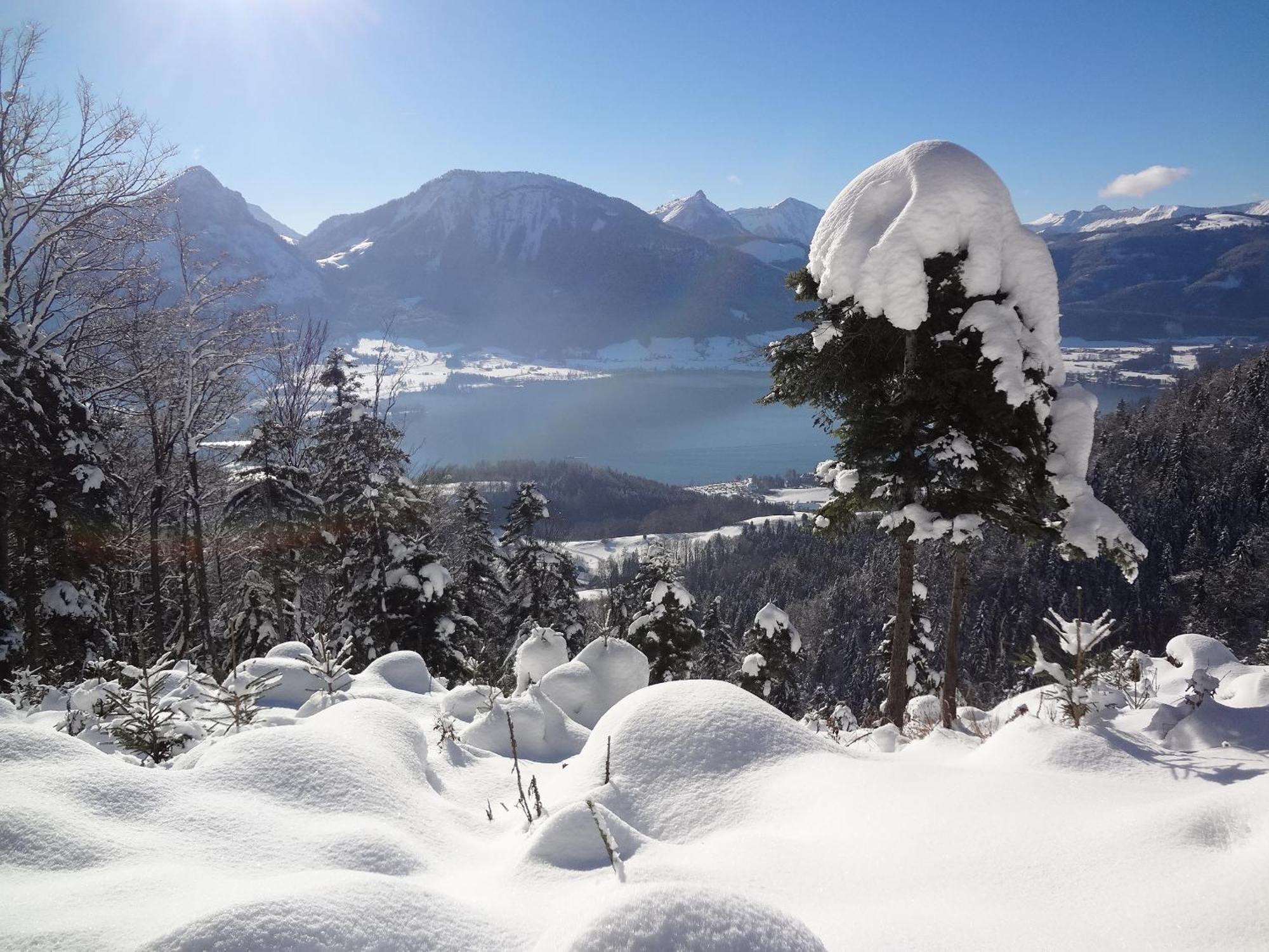 Appartement Scheibling Sankt Wolfgang im Salzkammergut ภายนอก รูปภาพ